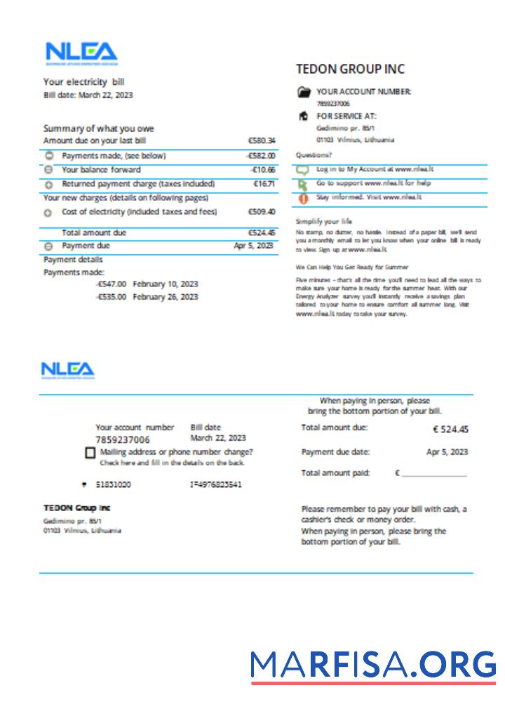 Downloadable National Lithuanian Energy Association utility business bill, SCR template
